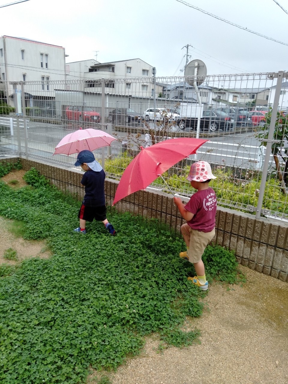 雨の中の探索